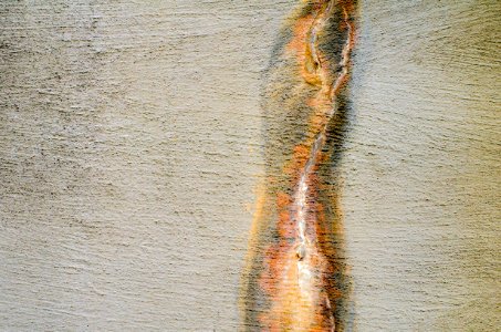 Crack in a Concrete Wall