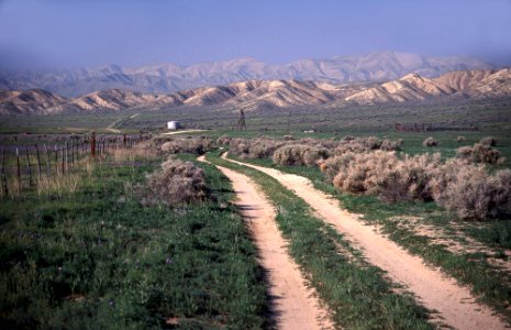 Van Metre Ranch Rd- saltbush-1