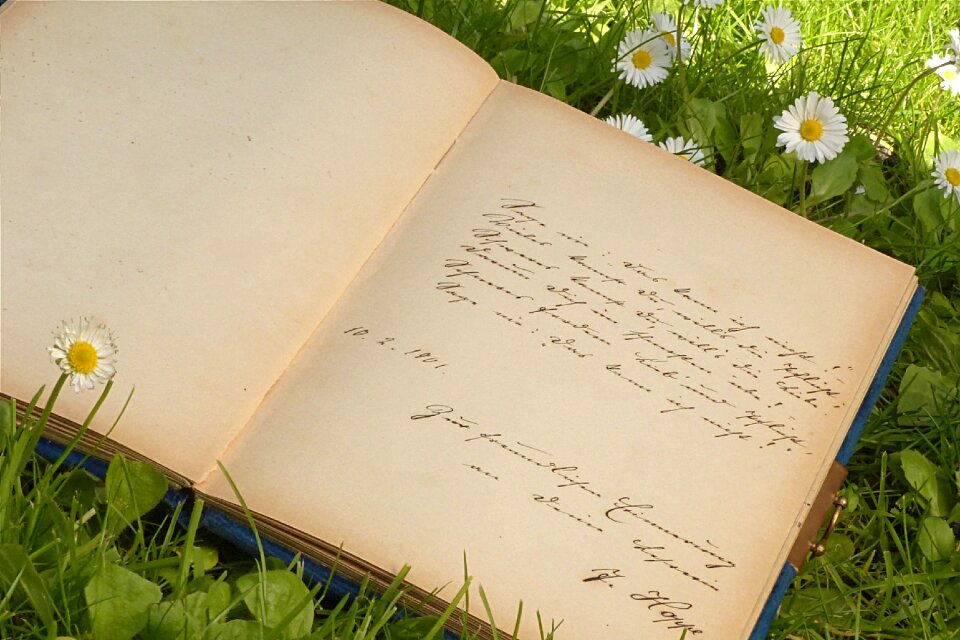 Sütterlinschrift garden grass