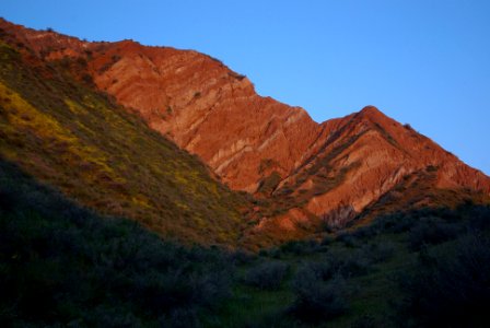 PADRONES SPRINGS -200