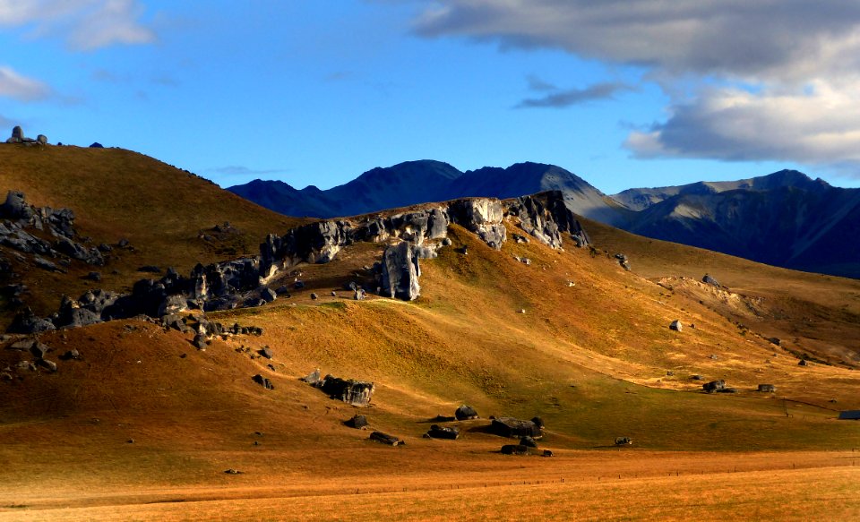 Morning Castle Hill Station Canterbury.NZ