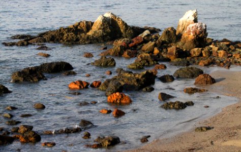 ESTERO BLUFFS - 0021c