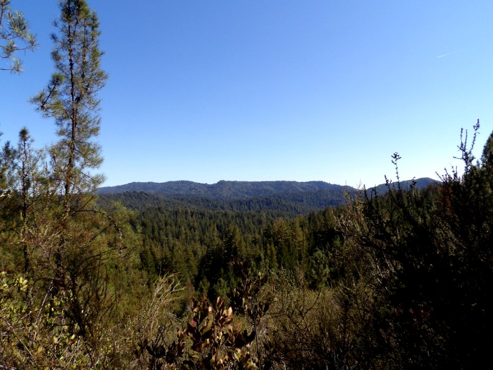 IMGP0208