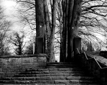 Historischer Ümminger Friedhof photo