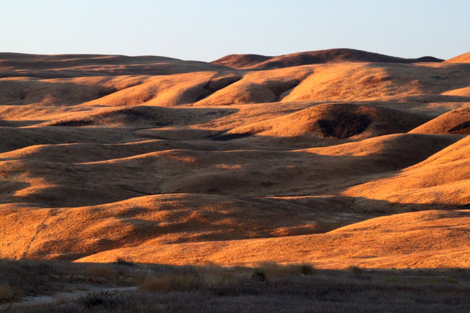 SOUTH SODA LAKE ROAD GRASSLANDS -040D