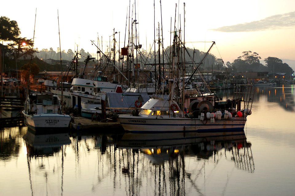 EARLY MORNING AT MORRO BAY HARBOR -058