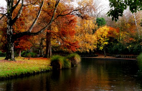 Christchurch Botanic Gardens. photo