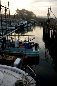 EARLY MORNING AT MORRO BAY HARBOR -058 photo