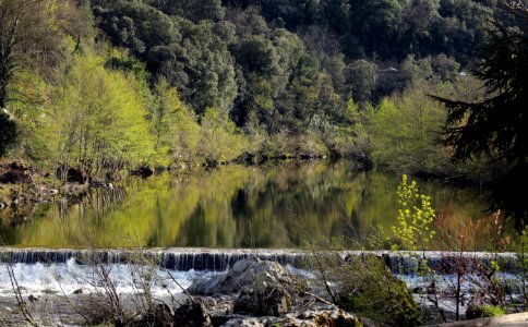 Reflexion on the water's Gardon