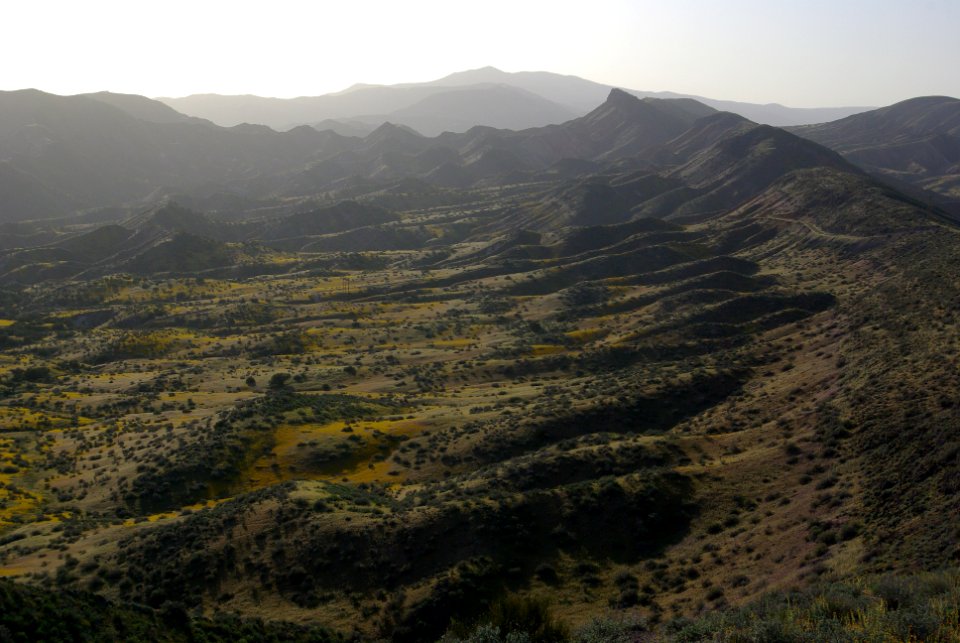 LAWSON SPRINGS AREA -206