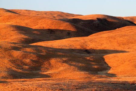 SOUTH SODA LAKE ROAD GRASSLANDS -040B