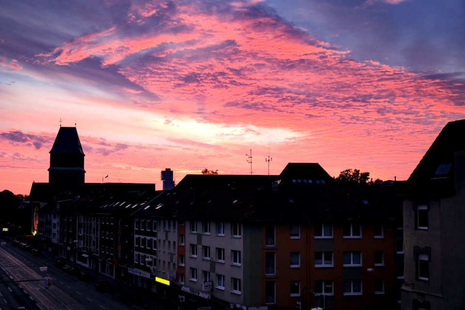 morning view of the sleeping room window