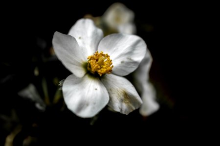 dreckig wie der winter