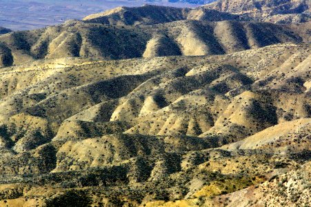 PADRONE CANYON - 3-07--013