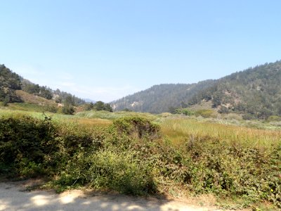 IMGP0283