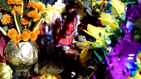2015-11-02 20.22.07-2