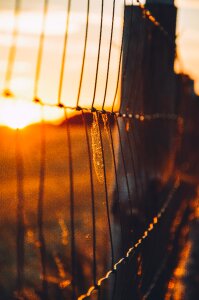 Dusk rural countryside photo