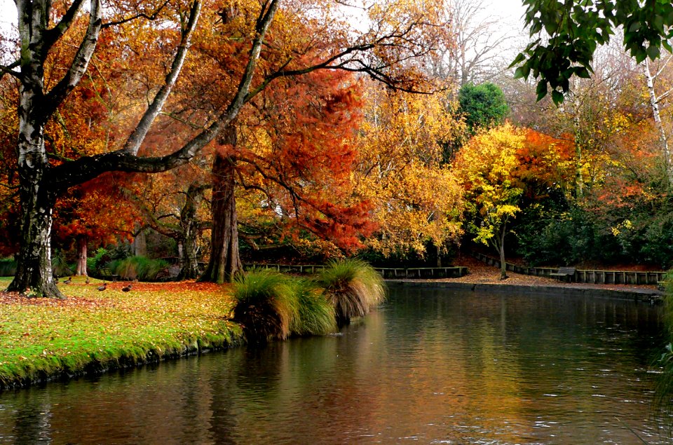 Hagley Park New Zealand. photo