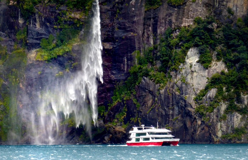 Cruising on Milford Sound NZ.