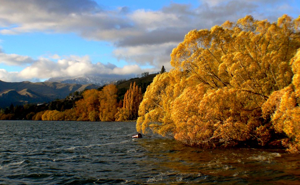 Season of Autumn. NZ photo