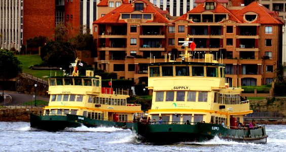 Sydneys Ferries. photo