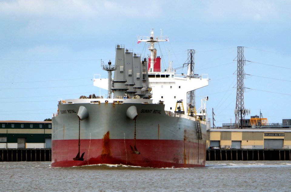 SUNNY ROYAL Bulk Carrier.