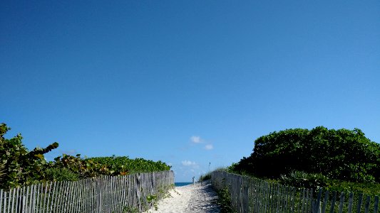 Sandy path photo