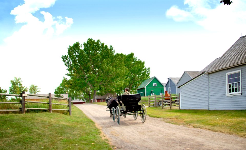 Buggy ride Heritage Park Calgary.