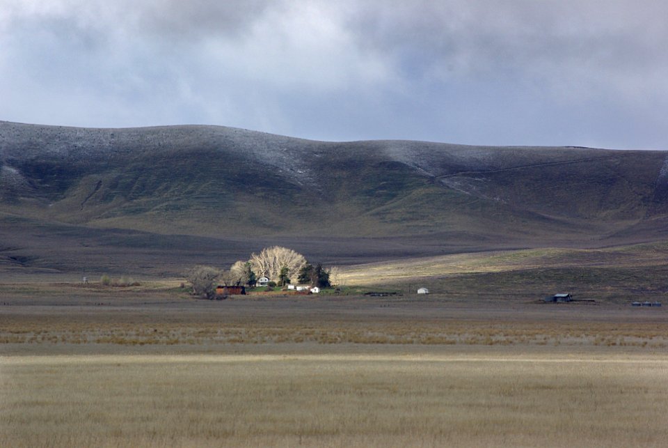 Soda Lake Road- 06 -Saucitao Ranch