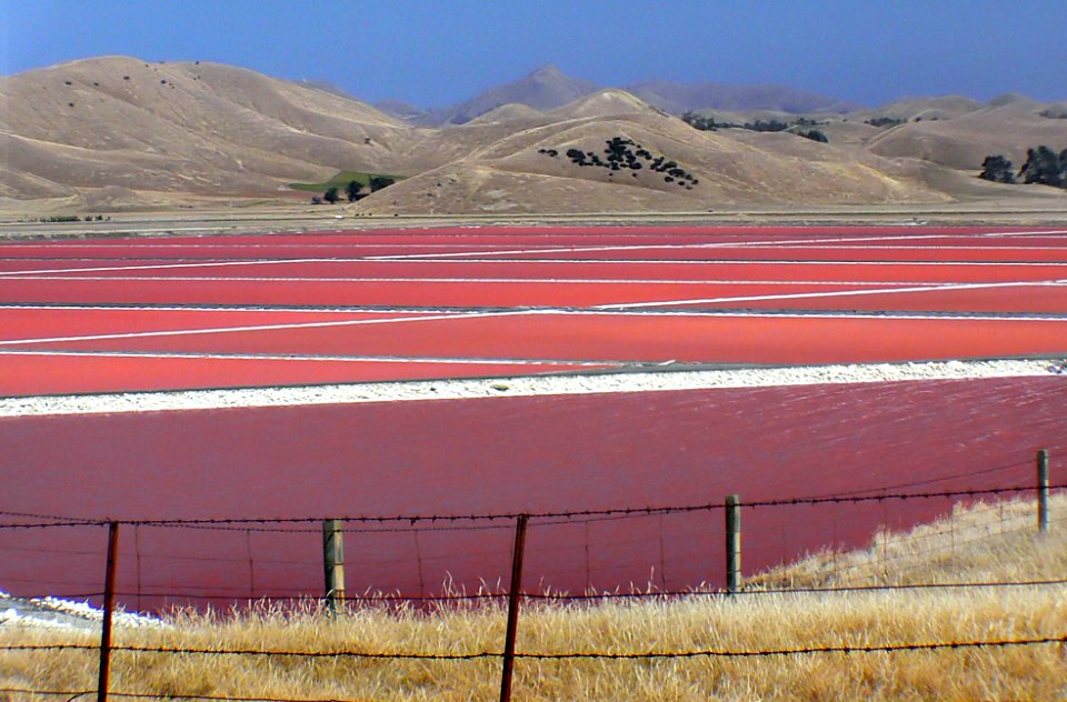 Solar salt Grassmere.NZ