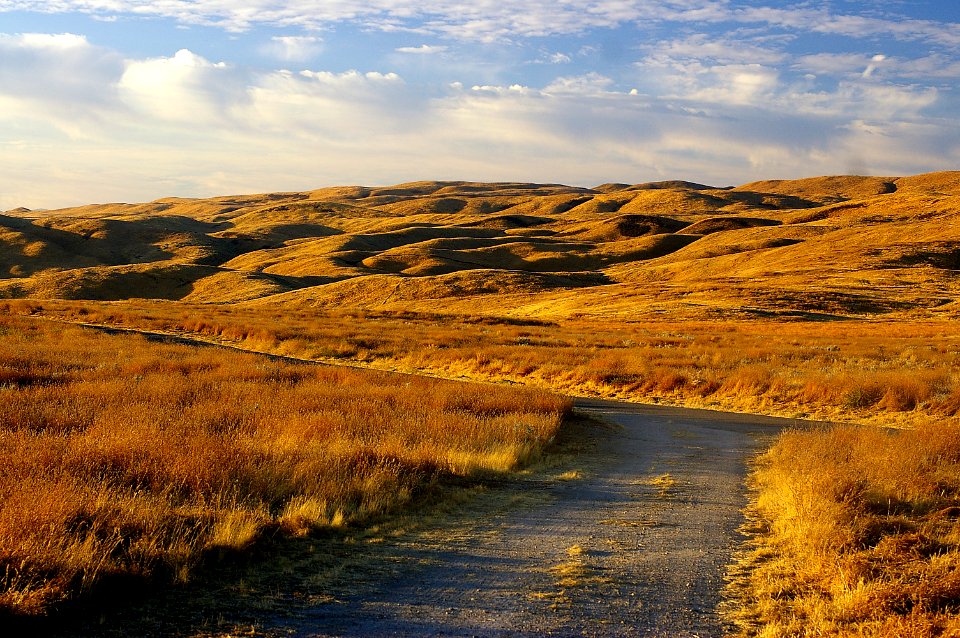 Soda Lake Rd, south end, Chukar habitat, morning light