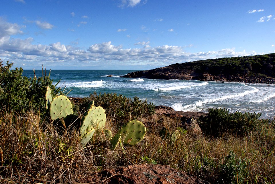 Fishermans Bay New South Wales Aust.