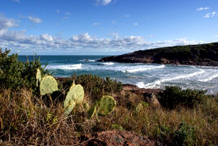 Fishermans Bay New South Wales Aust. photo