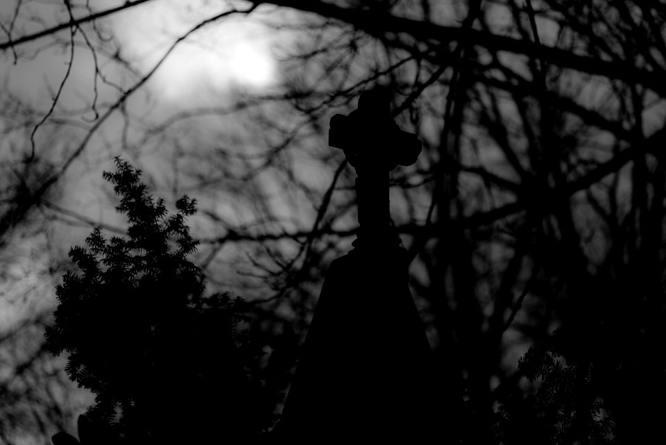 Neulich auf dem Friedhof