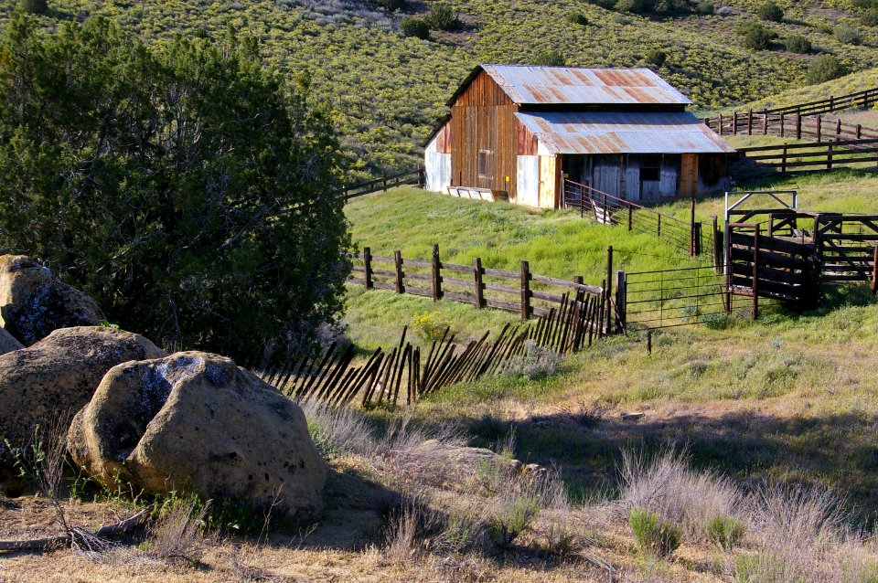 SELBY COW BARN - 042