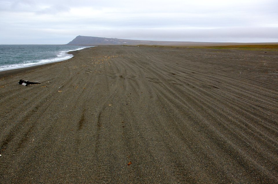 ROAD TO OOYNIK POINT
