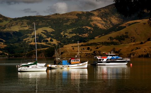 Akaroa Harbour NZ photo