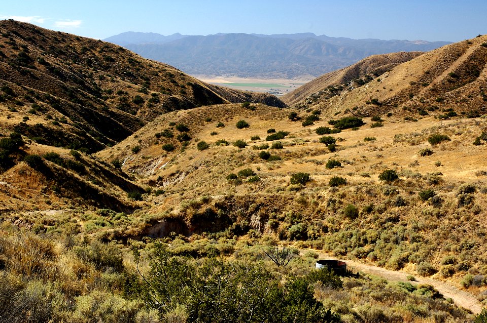 Quail Springs, looking down-canyon from upper spring