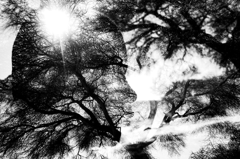 Fragment²