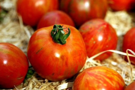 Festival de la tomate