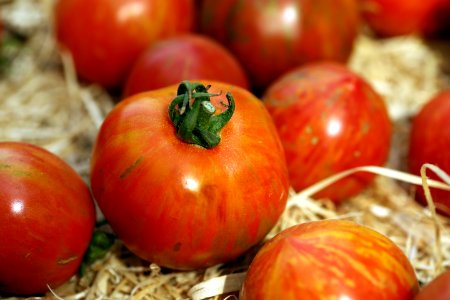 Festival de la tomate photo