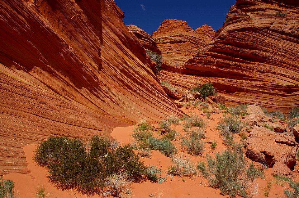 07 - South Coyote Buttes -15