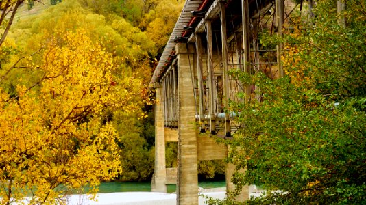 Autumn Lower Shotover Bridge. NZ photo