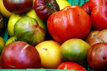 Festival de la tomate photo