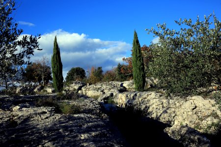 Le jardin minéral photo