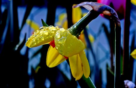 After the rain.