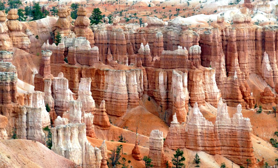 Hoodoos Of Bryce Canyon photo