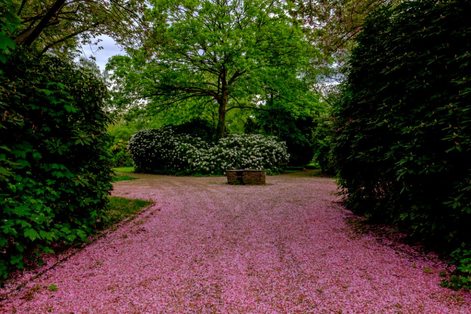 Spring