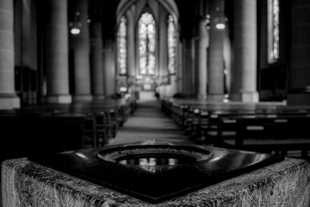 Propsteikirche St. Peter und Paul (Bochum) photo