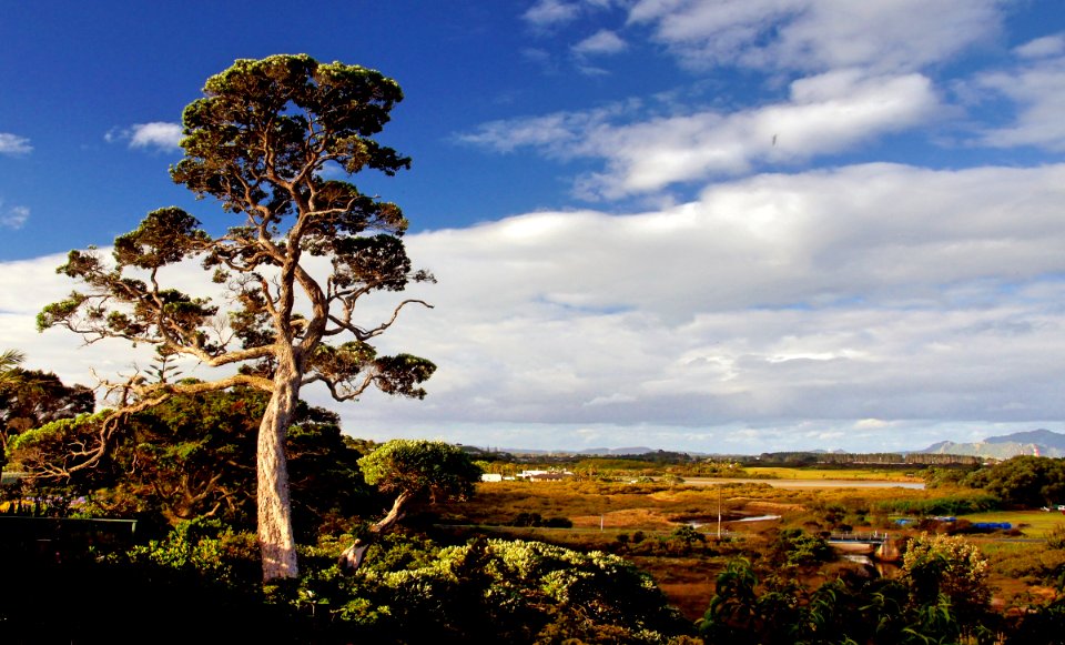 Northland Landscape.